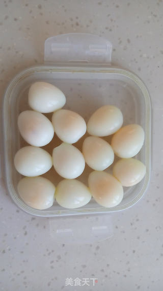 春日母鸡抱蛋孵小鸡的做法步骤:12