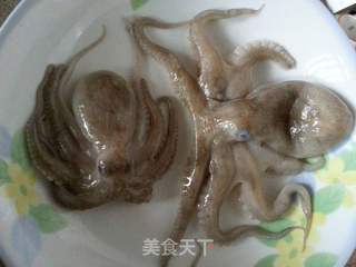 章鱼莴笋丝的做法步骤:3