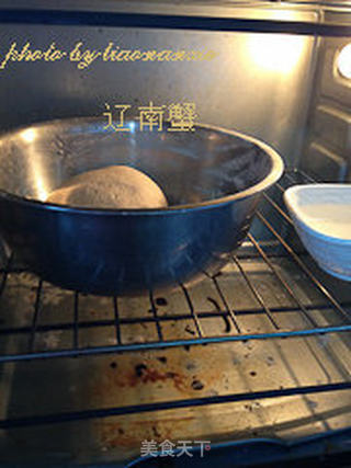 茴香肉饼的做法步骤：2