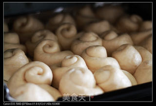 奶油小餐包的做法步骤:9