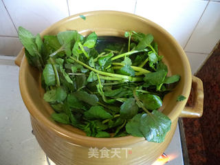 西洋菜骨头汤的做法步骤:8