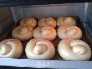 烫种扭结小餐包的做法步骤:13