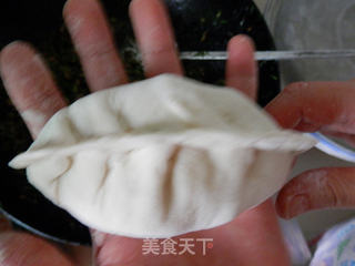 茴香包子的做法步骤:8