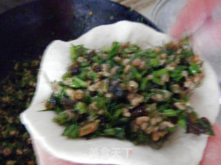 茴香包子的做法步骤:7