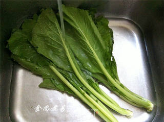 鲜肉芥菜包的做法步骤:7