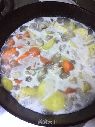 红咖喱土豆鸡腿的做法步骤:9