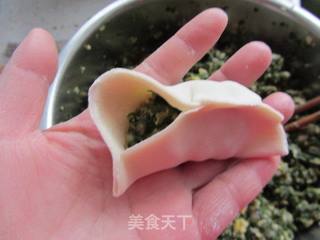 荠菜笋尖猪肉饺的做法步骤:13