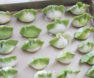 百财(白菜)水饺的做法步骤:11