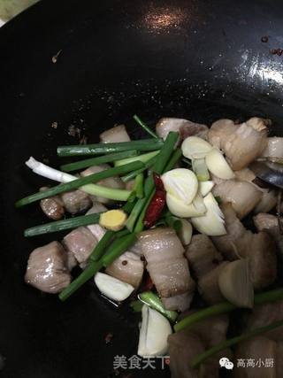 无肉不欢----高高奉上的红烧肉的做法步骤:4
