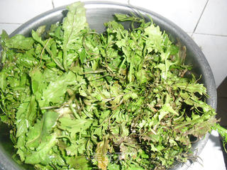 荠菜春卷的做法步骤：1