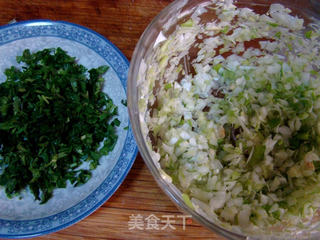 牛肉萝卜水饺的做法步骤:10