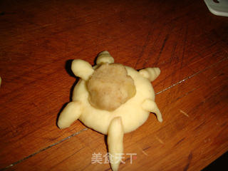 莲蓉乌龟包的做法步骤:8