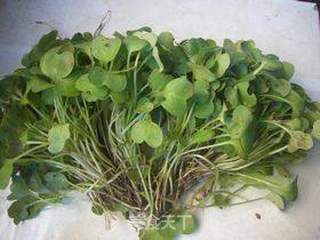 萝卜芽沙拉的做法步骤:2