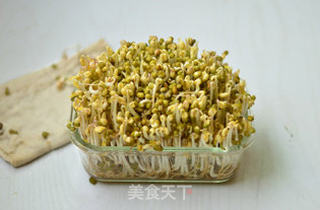 自制绿豆芽的做法步骤:5