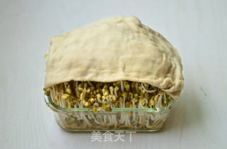 自制绿豆芽的做法步骤:4