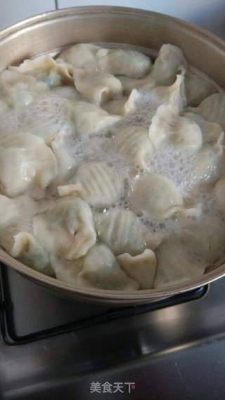 素三鲜馅水饺的做法步骤:13