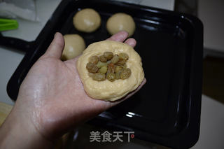 葡萄干小餐包的做法步骤:5