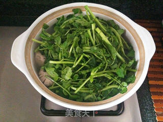 西洋菜猪肉汤的做法步骤:7