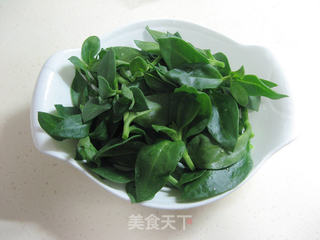 凉拌穿心莲的做法步骤:4