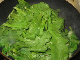 花椒炝炒大叶茼蒿的做法步骤:6