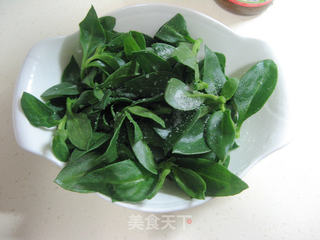 凉拌穿心莲的做法步骤:5