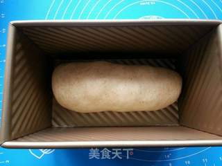 全麦葡萄干吐司的做法步骤:8