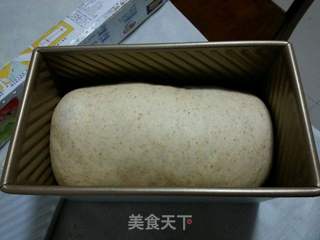 全麦葡萄干吐司的做法步骤:9
