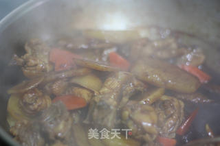 土豆烧鸡块的做法步骤:10