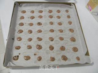 核桃沙拉波点蛋糕卷的做法步骤：7