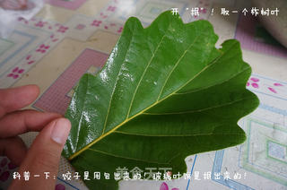 波罗叶饼的做法步骤：21