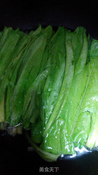 香灼油麦菜的做法步骤：2