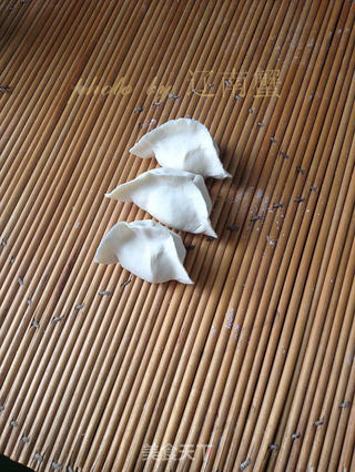 猪肉萝卜饺子的做法步骤:21