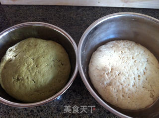 抹茶双色馒头卷的做法步骤:2