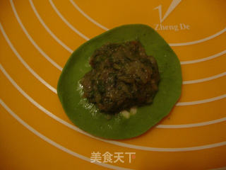 绿色饺子——给饺子装扮点颜色的做法步骤:8
