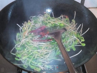 干煸青豆芽的做法步骤:7