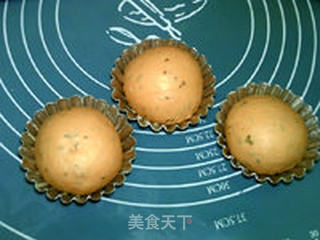 番茄百里香面包的做法步骤：9
