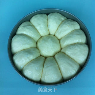 马铃薯餐包的做法步骤:6