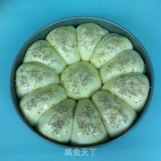 马铃薯餐包的做法步骤:7