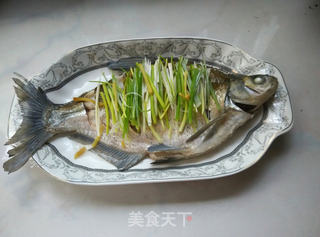 蒸出来的好滋味——清蒸鳊鱼的做法步骤:10