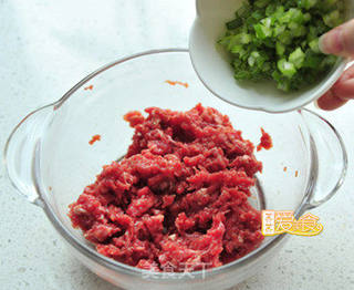 怎样做令人垂涎三尺的山东名吃【烫面千层牛肉饼】的做法步骤:7