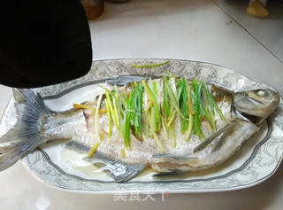 蒸出来的好滋味——清蒸鳊鱼的做法步骤:11