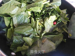 炝炒蒜蓉菠菜的做法步骤:8