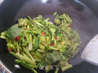 炝炒蒜蓉菠菜的做法步骤:7