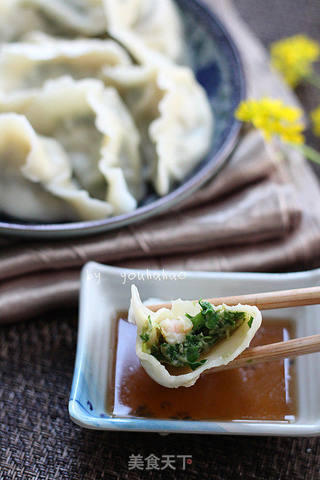 虾仁三鲜饺子的做法步骤:15