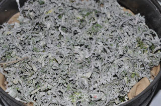 荠菜麦饭的做法步骤:5