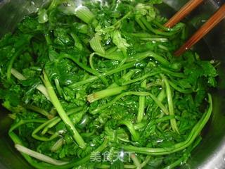 香芹春卷的做法步骤:4