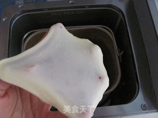 柔软小餐包的做法步骤:3
