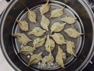 茴香猪肉饺的做法步骤:7