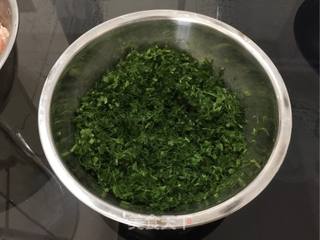 茴香猪肉饺的做法步骤:4