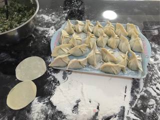 茴香猪肉饺的做法步骤:6